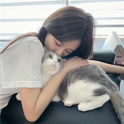 赤月 海报